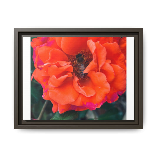 Copy of Matte Canvas, Framed (Multi-color)