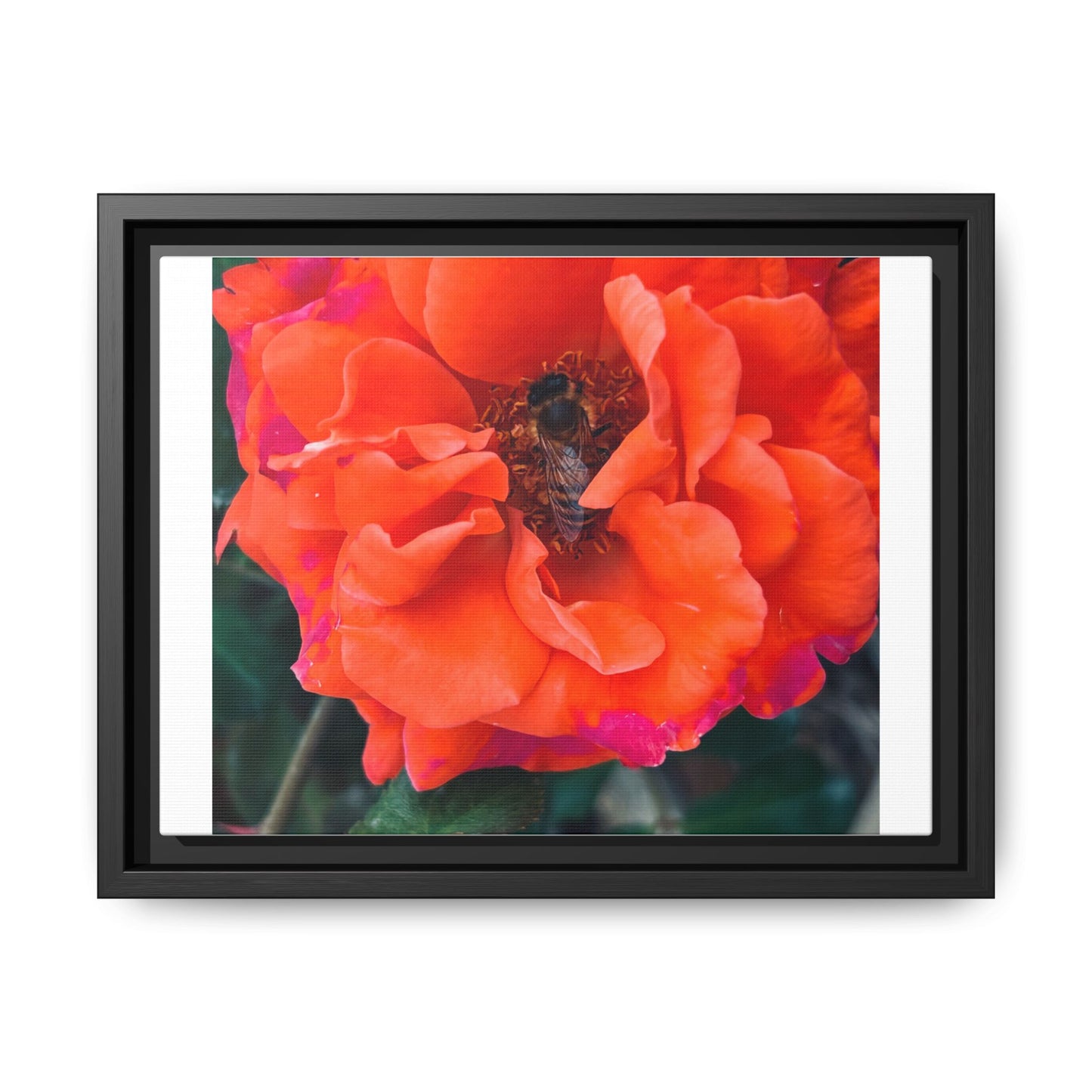 Copy of Matte Canvas, Framed (Multi-color)
