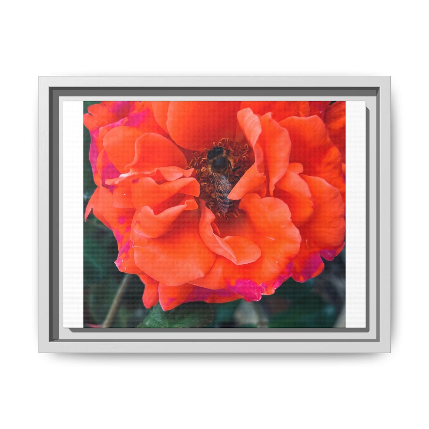 Copy of Copy of Matte Canvas, Framed (Multi-color)