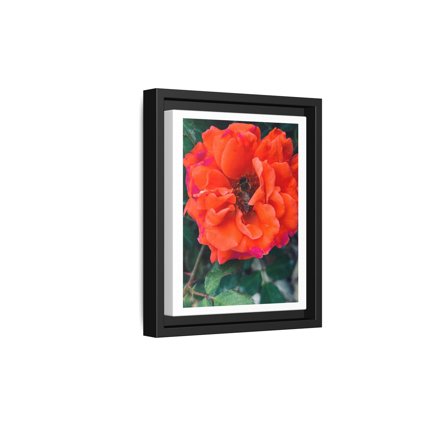 Copy of Copy of Matte Canvas, Framed (Multi-color)