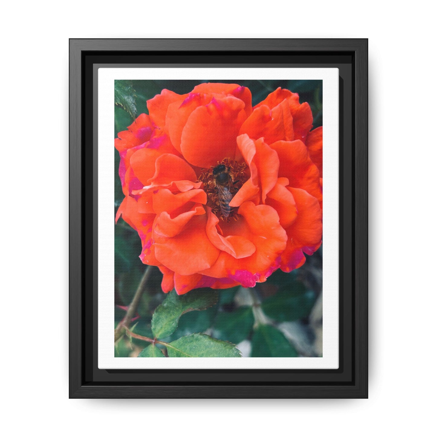 Copy of Copy of Matte Canvas, Framed (Multi-color)