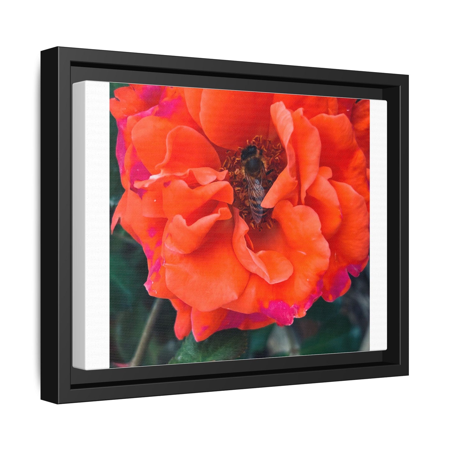 Copy of Matte Canvas, Framed (Multi-color)