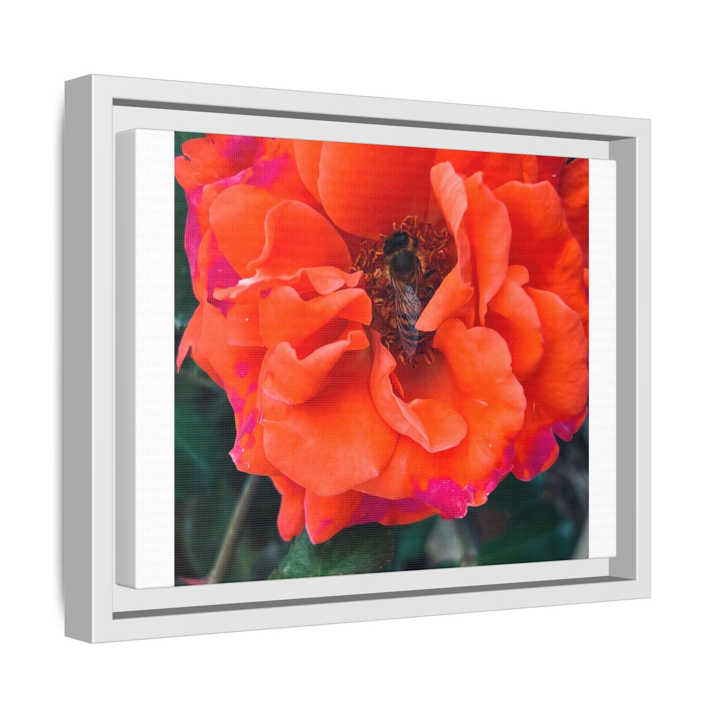 Copy of Matte Canvas, Framed (Multi-color)